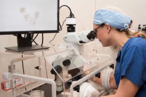 Insurance coverage for IVF increases chance of having baby