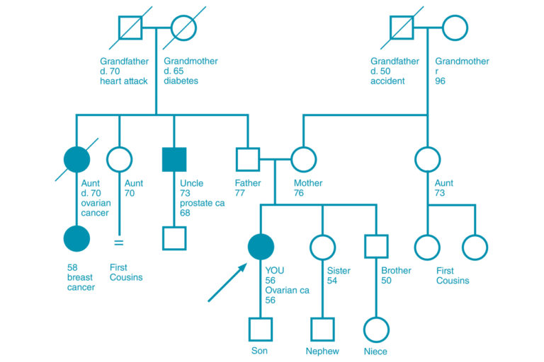 Hereditary Cancer Risk Assessment Obstetrics & Gynecology