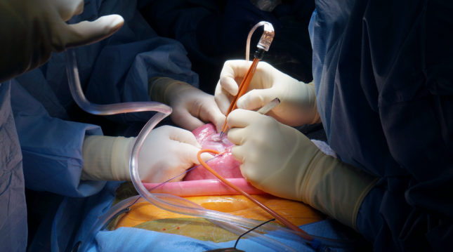 The team performs fetal surgery for spina bifida, or myelomeningocele (MMC). 